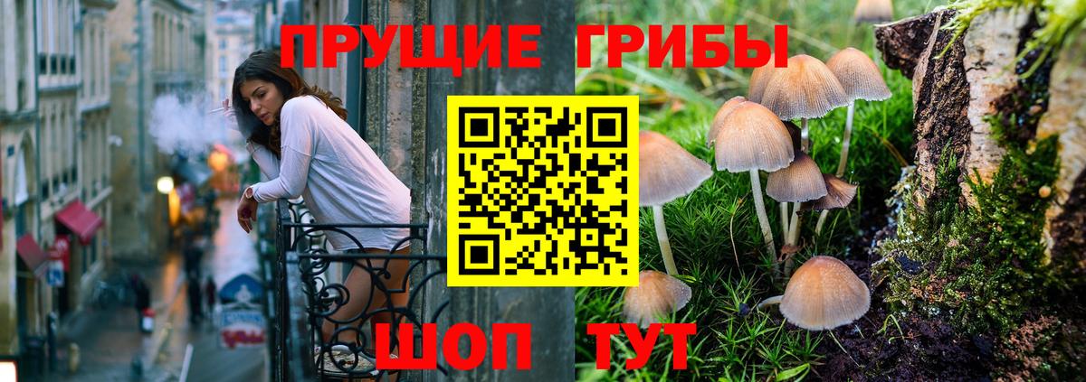 Галлюциногенные грибы MAGIC MUSHROOMS  Вход с VPN  Анжеро-Судженск 
