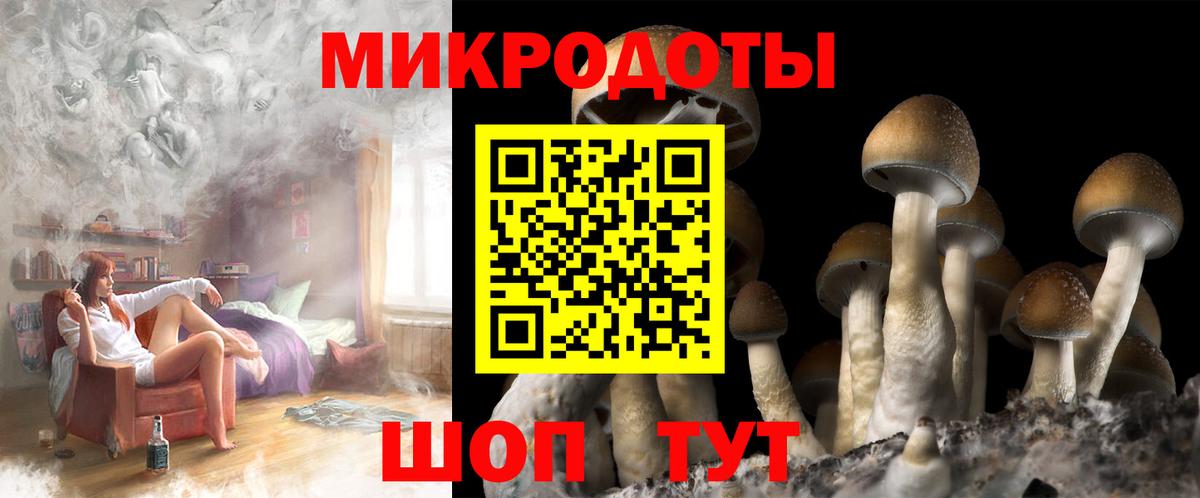 Псилоцибиновые грибы мицелий Анжеро-Судженск